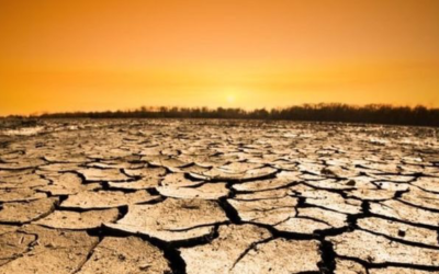 Cambio climático: por qué los próximos 18 meses son cruciales para el planeta y para todos nosotros